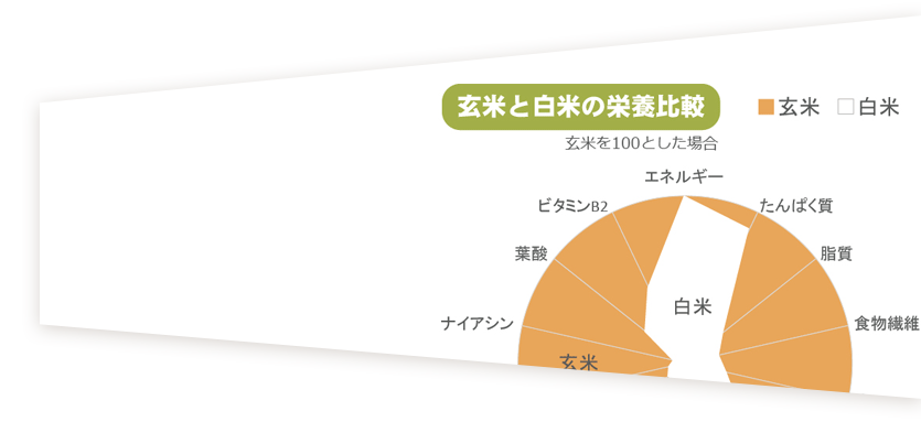 kazari